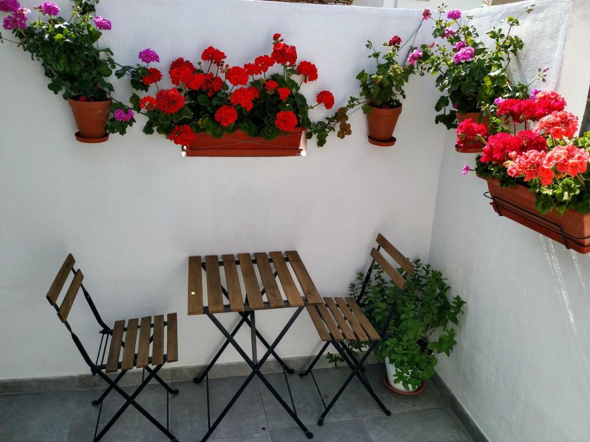 Apartamento Entero "El Casco Antiguo" Vt-46811-V Xàtiva Exteriér fotografie