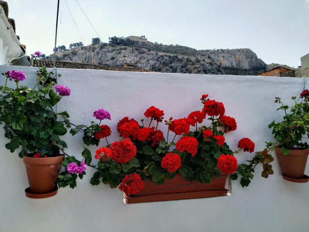 Apartamento Entero "El Casco Antiguo" Vt-46811-V Xàtiva Exteriér fotografie